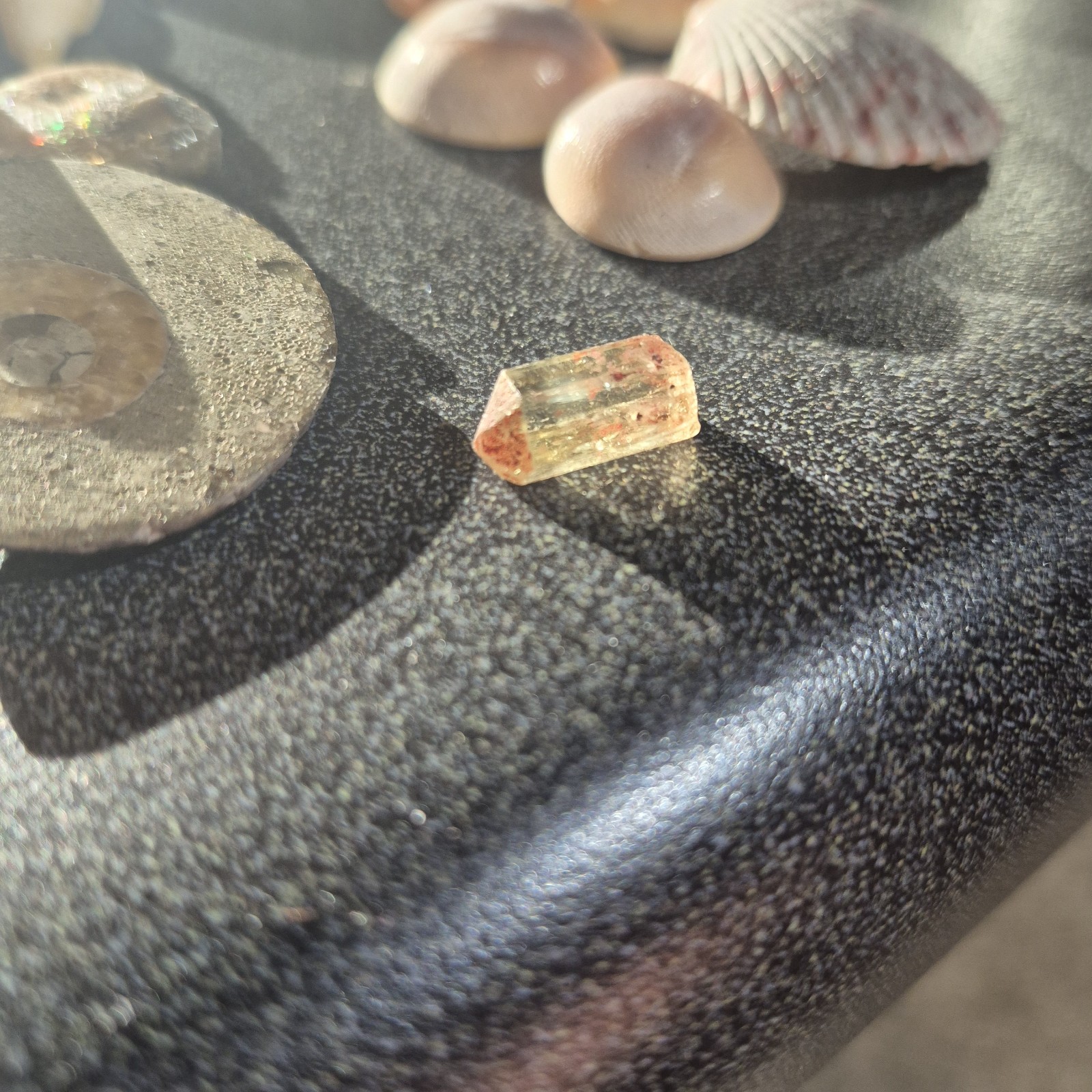 Ammonite Fossils, Crystals, Mineral Specimens, Shells, Cabochons Mixed Lot