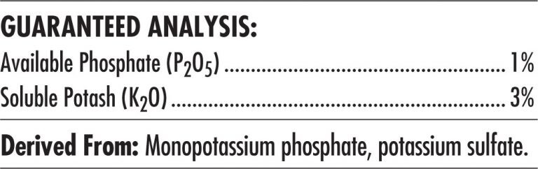 Advanced Nutrients Bundle Big Bud + B-52 - 500mL
