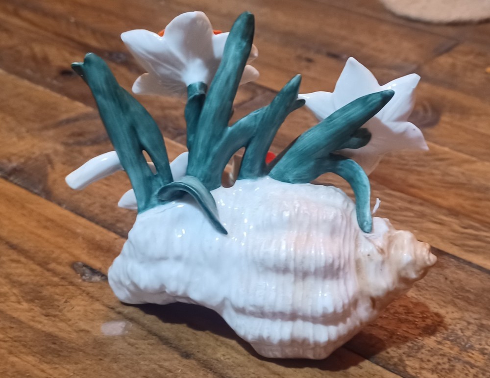 Daffodils In A Sea Shell Beautiful