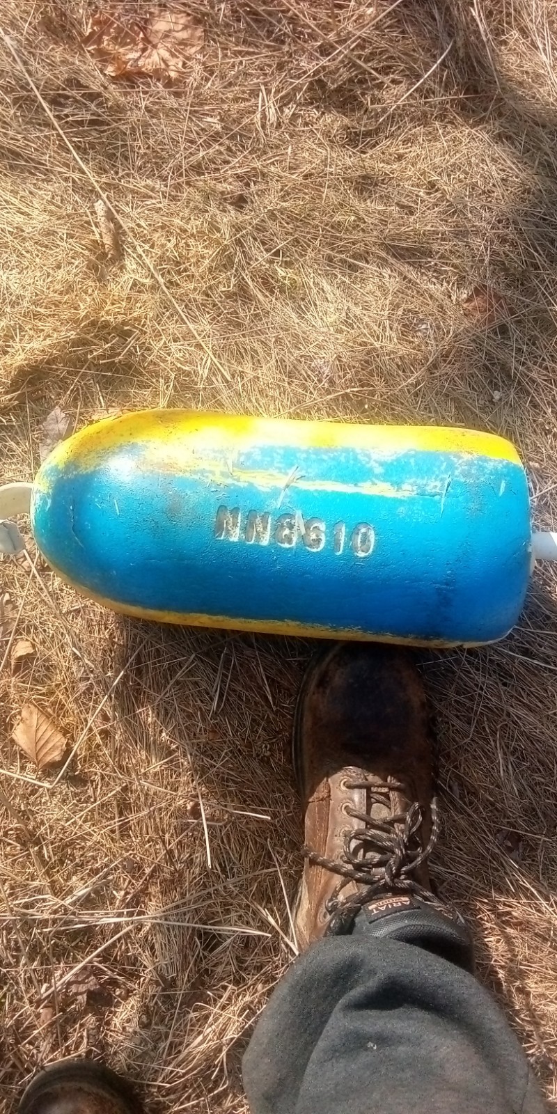Lobster Buoy - Weathered- Algerine Coast, Tremont, Maine