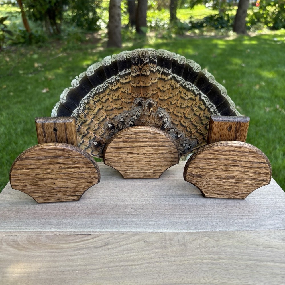 Grouse Tail Fan Plaque, Dark Oak