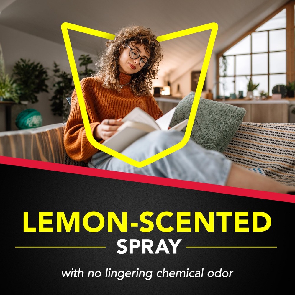 Raid Ant & Roach Killer Spray For Listed Bugs Keeps Killing for Weeks Lemon