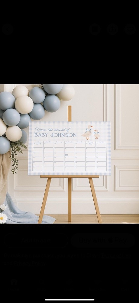Silly Goose Baby Shower Bundle