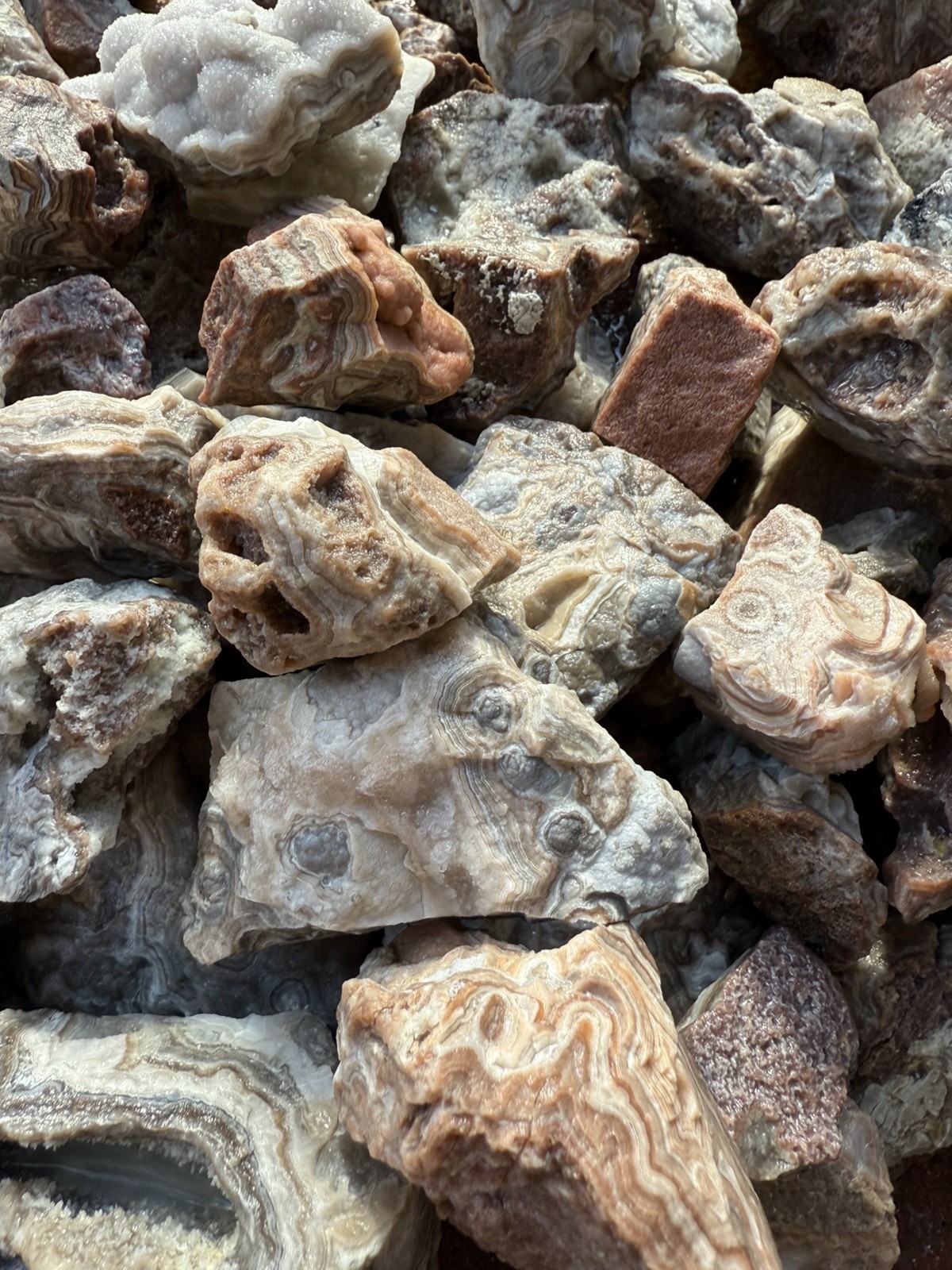 Crazy Lace Agate, Rough Lace Agate From Summerville Ga 10lbs Lot