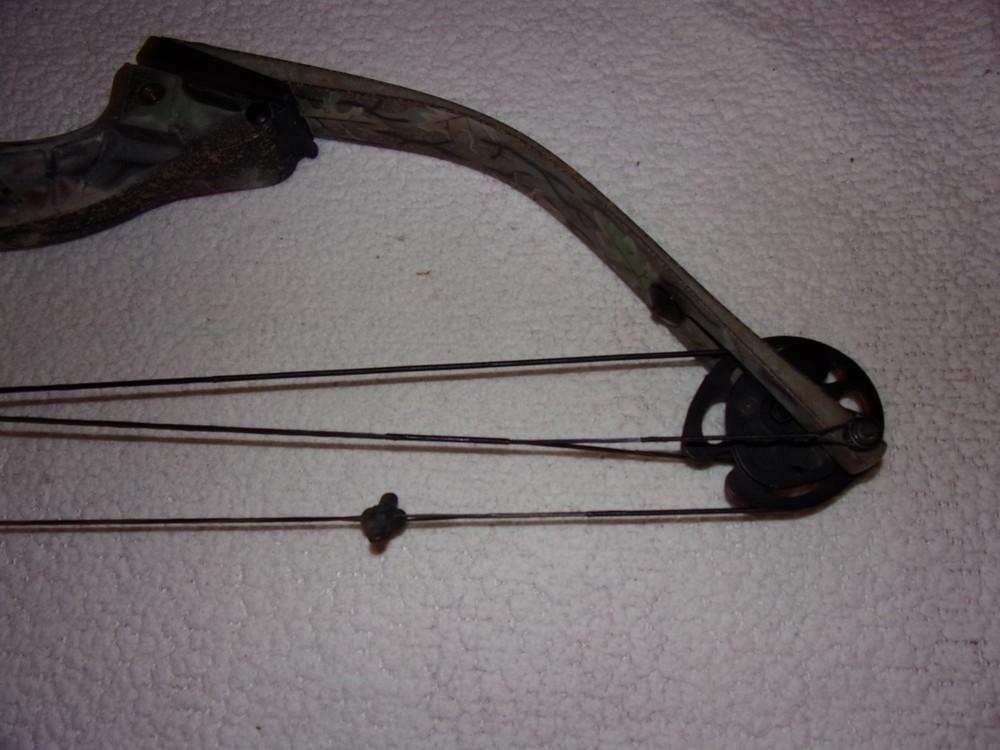 Hoyt Raptor Excel Compound Bow