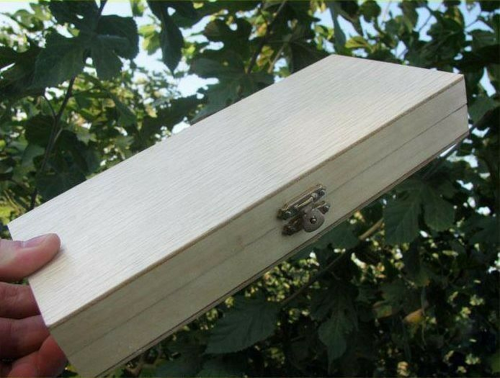 Wooden Microscope Slide Box Rectangle Hold Cabinet Slides Holder Case Storage
