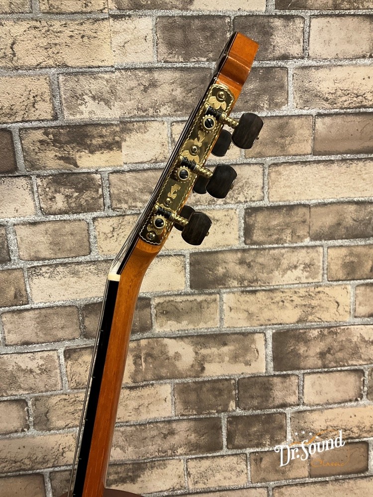 Juan Hernandez Maestro S, 2019 model.
