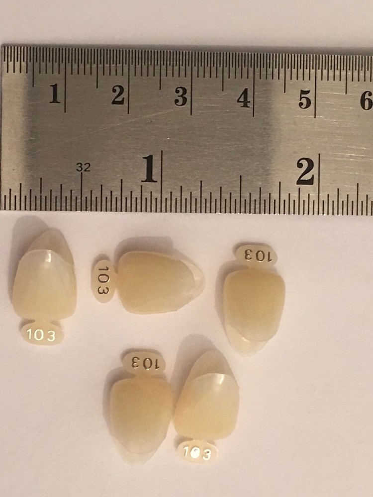 Dental Polycarbonate Temporary Crowns 5 pcs #103