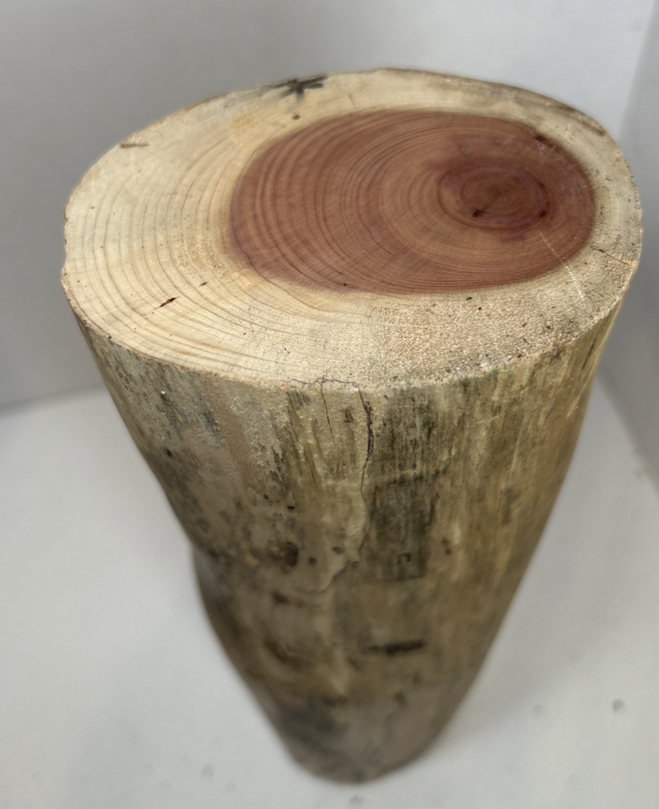 Driftwood¡ 2 Piece Set Cedar Taxidermy Beach Mountain Wedding 1 White Outside