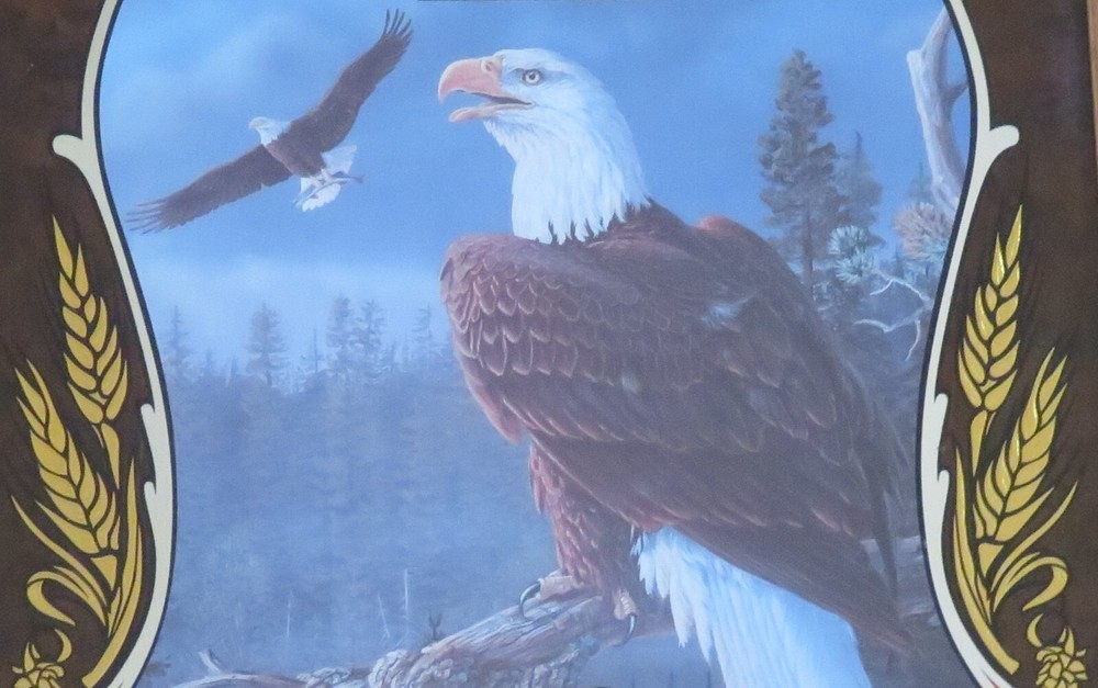 The EAGLE