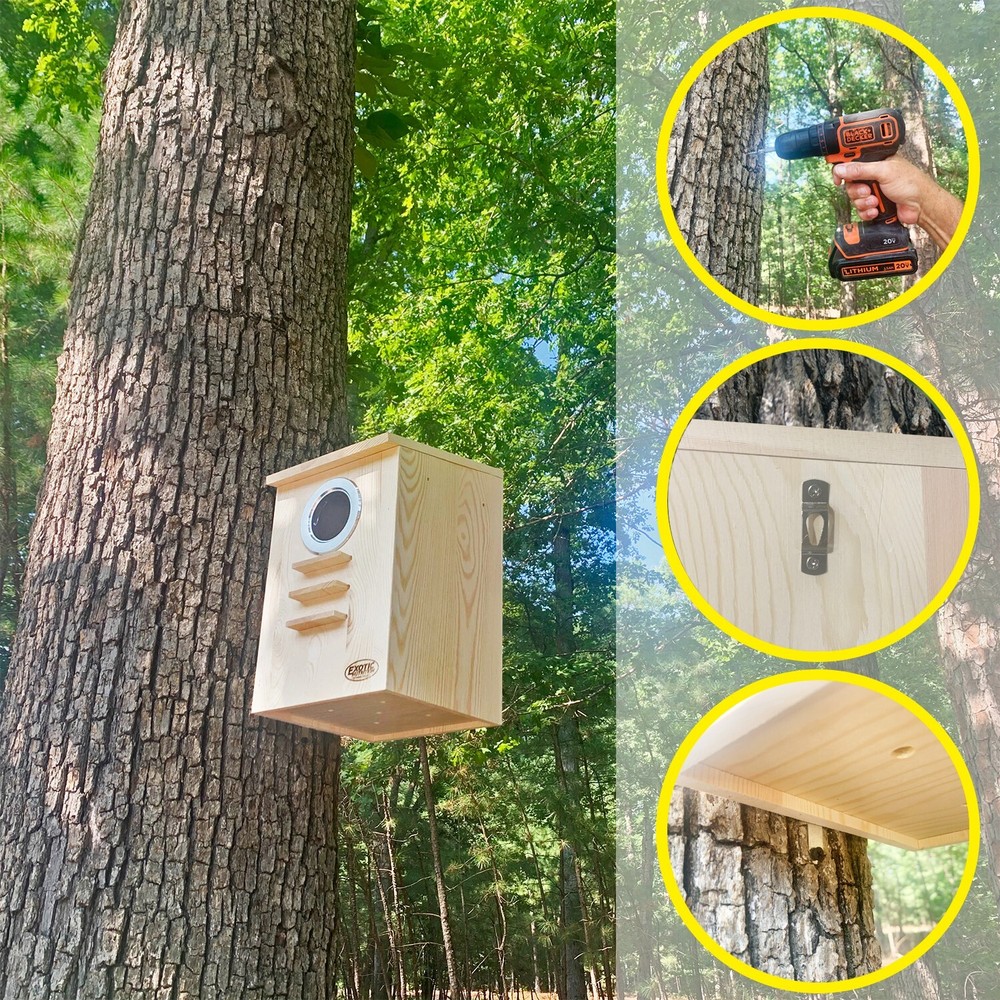Squirrel Nest Box - For Grey Squirrels & Flying Squirrels