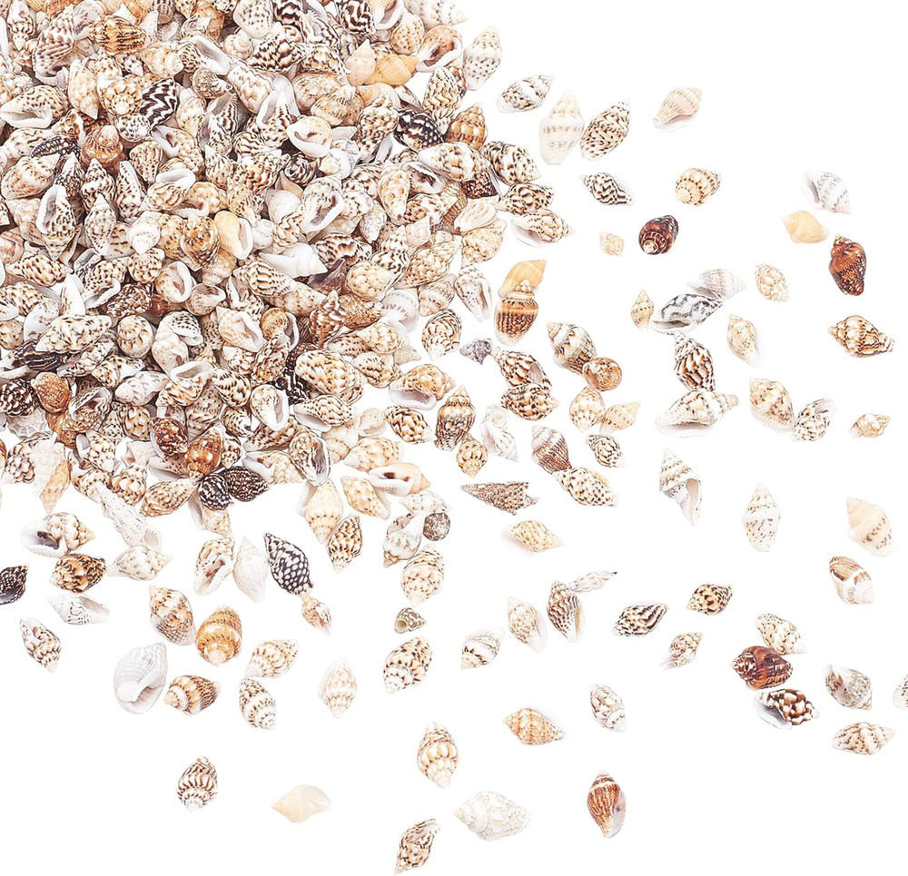 1400-1500Pcs Tiny Sea Shells 7-12Mm Tiny Crushed Shells Miniature Shell NO Hole
