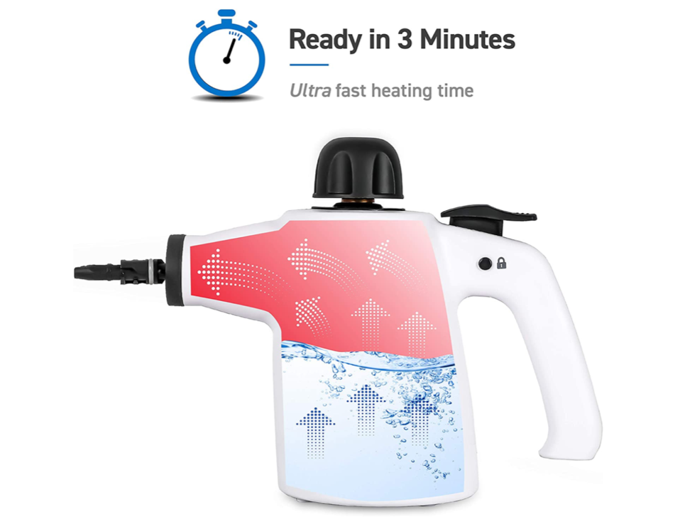 Kill Bed Bugs & Their Eggs Non Toxic Steamer Tool Kills Bugs Fast Effective Safe