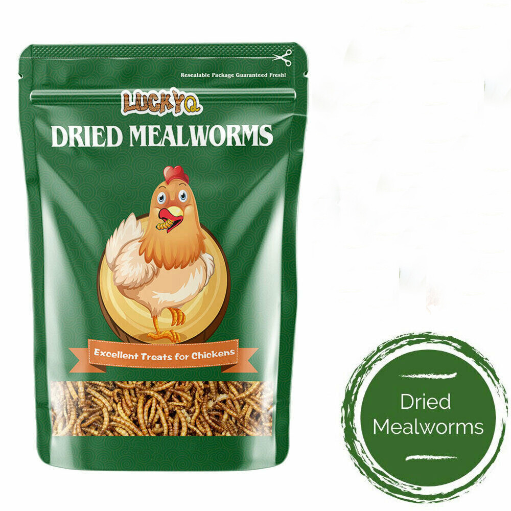 Bulk Dried Mealworms for Wild Blue Birds Hen Reptile Treats Non-GMO LOT
