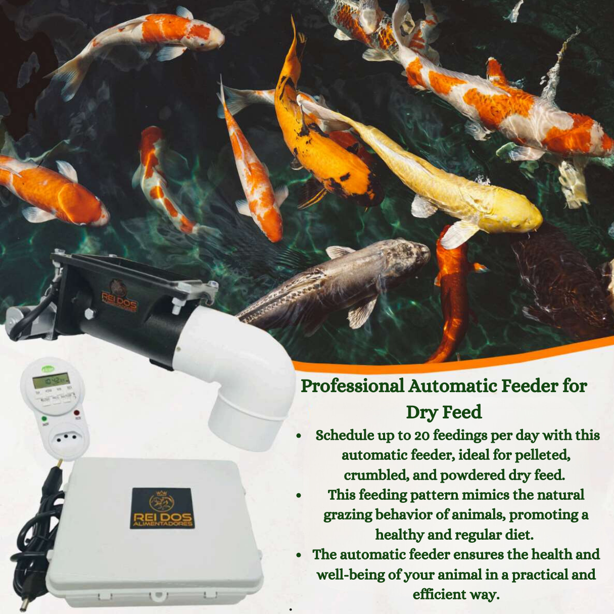 Automatic Feeder for Different Types of Fish, Shrimp Food Dispenser with Timer