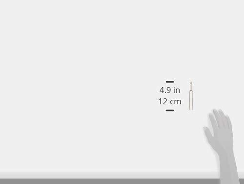 Witner Tuning fork (tuning fork) A = 442Hz with storage case