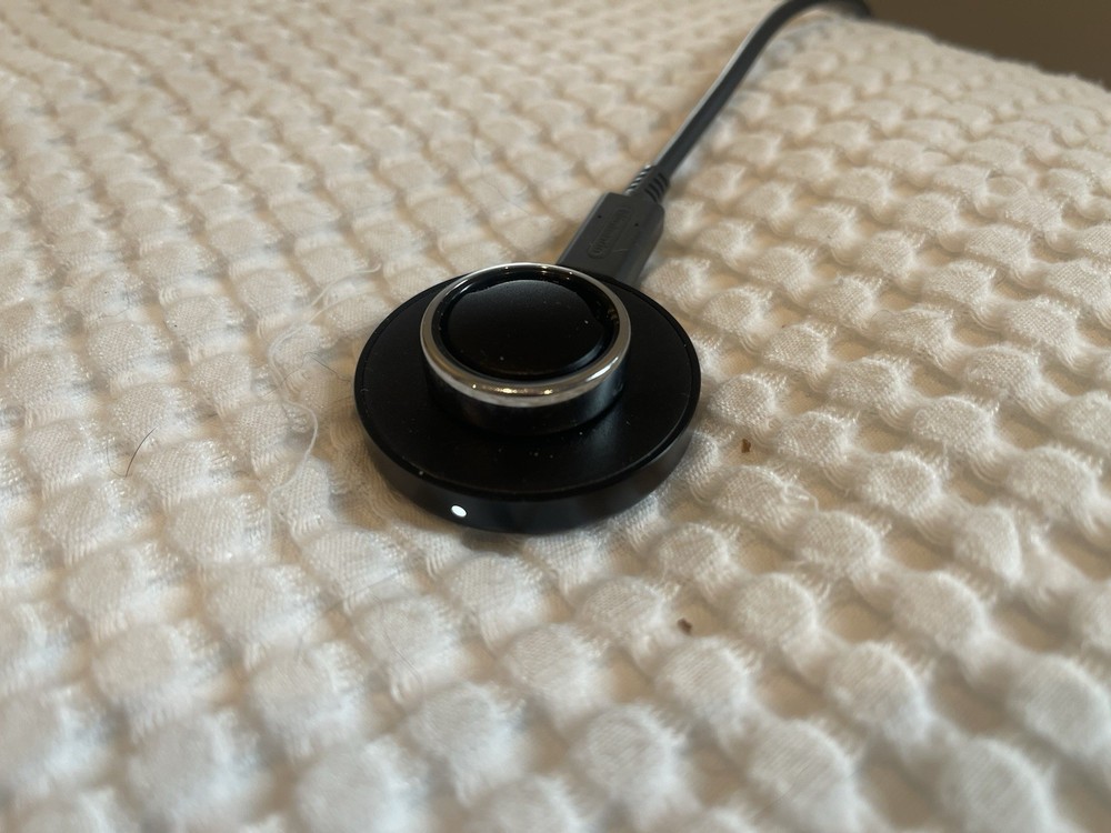 Oura Horizon Silver Gen 3 Size 13