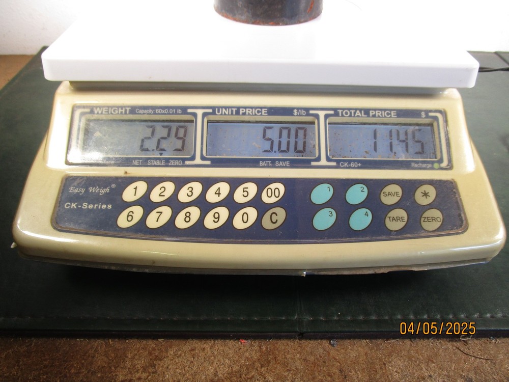 Easy Weight Scale Model CK60