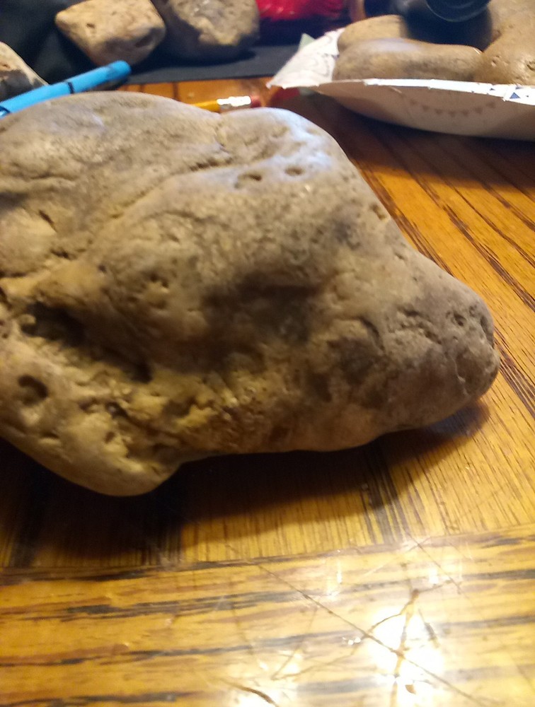 Fossils