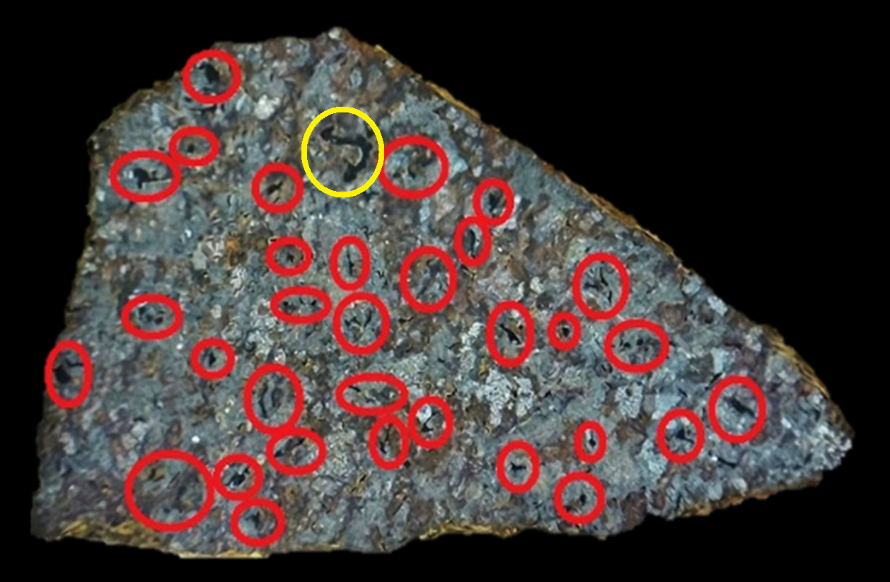 NWA 11639 ~ Achondrite Ureilite Slice ~ Graphite / Diamond Aggregates ~ 5.61 g