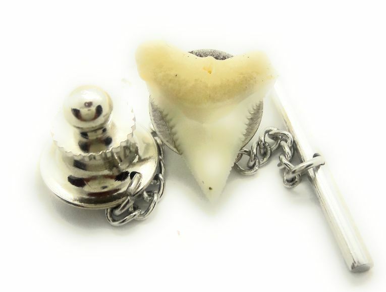 GENUINE SHARK TOOTH  TIE TACK / LAPEL PIN