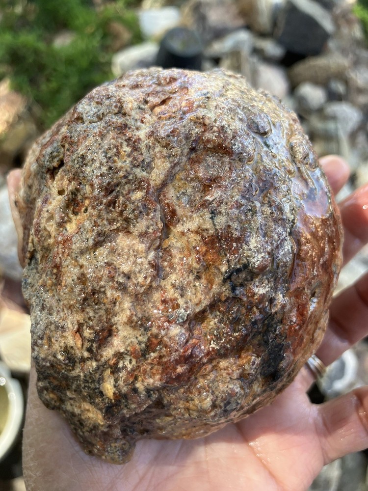 Trancas Thunder egg (half)