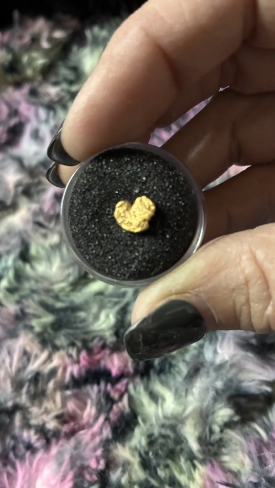 .653 American River CA Gold Nugget