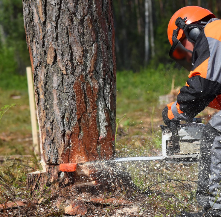 6 pack Tree Felling Wedges chainsaw wedges 5.5+8 tree cutting equipment