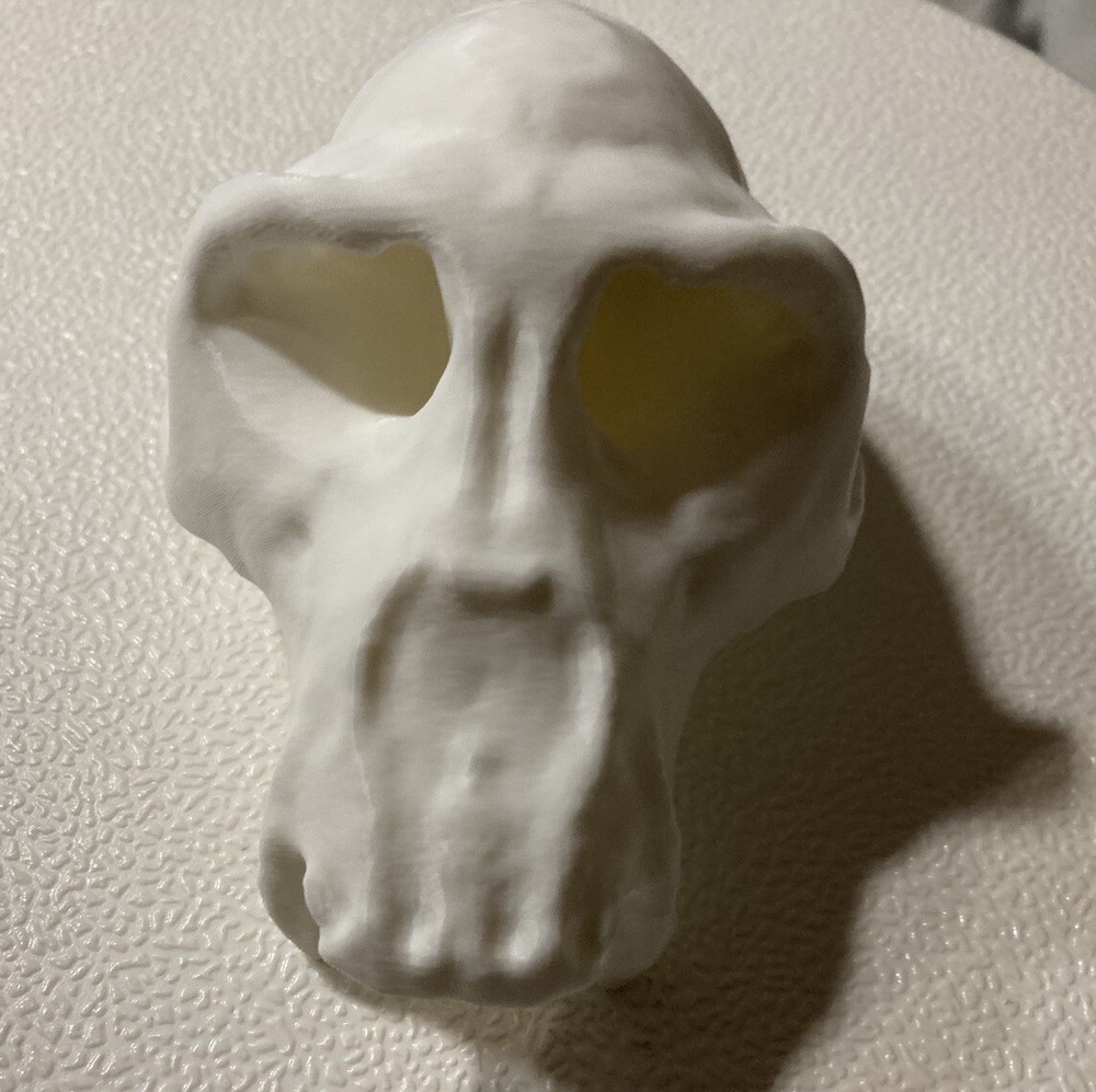 Chimpanzee Skull Replica Uppet 3D Printed