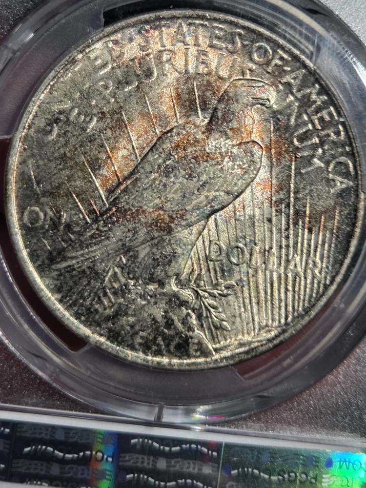 1922 $1 Peace Dollar PCGS MS62 Toned