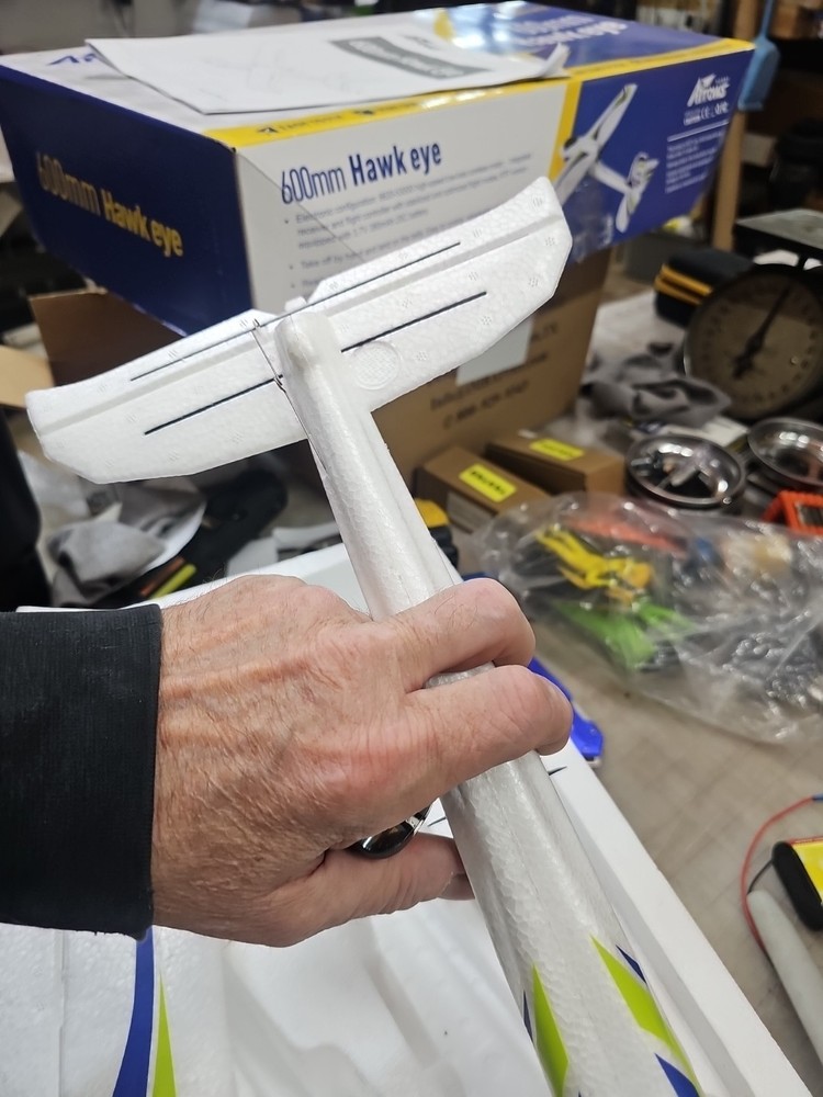 ARROWS HOBBY 600mm Hawkeye RTF