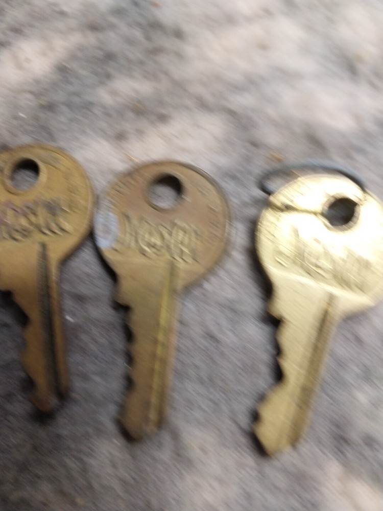 3 old master lock keys