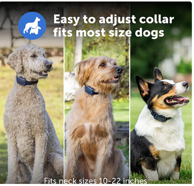 PetSafe® Core Dog Training E-Collar with Remote - Waterproof Bark Collar/Shock