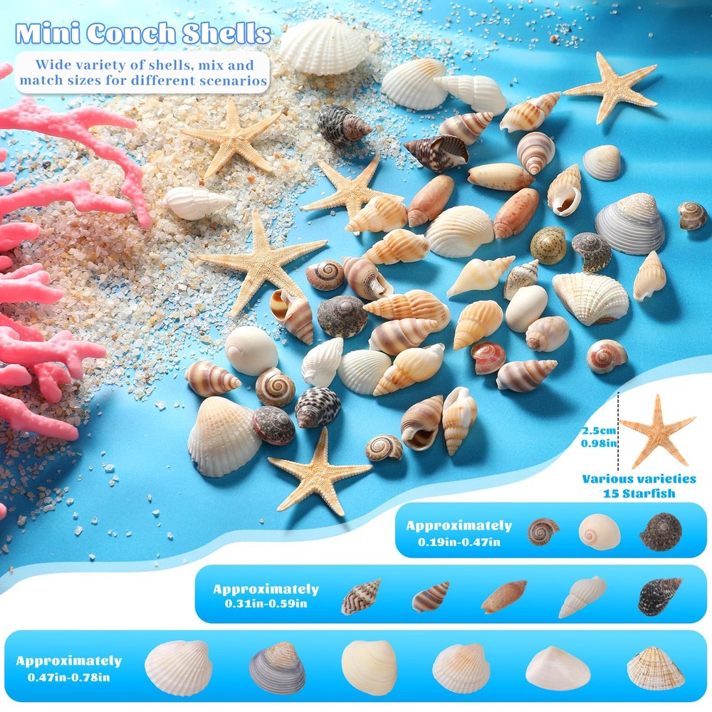 ZXIIXZ 1200 Pc Mixed Seashells Starfish Tiny Small Shells Craft Decor