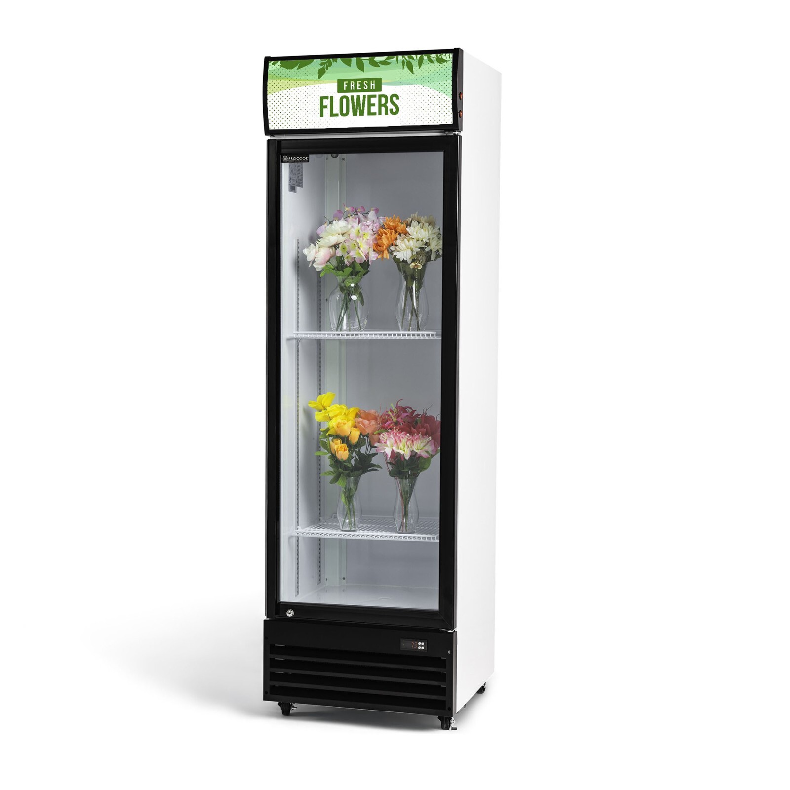 Procool Glass Door Upright Display Flower Cooler, Merchandiser Refrigerator