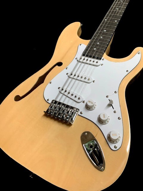 NEW STRAT STYLE 12 STRING SEMI-HOLLOW THINLINE NATURAL FINISH ELECTRIC GUITAR