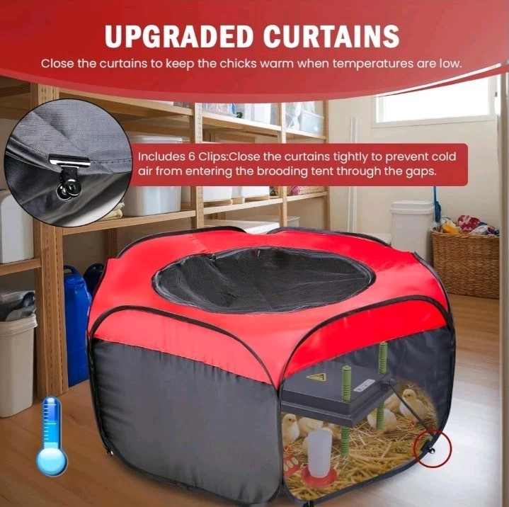 Chicken Brooder Box for Chick Starter Kit - 10 * 12inch Brooder Heating Plate...