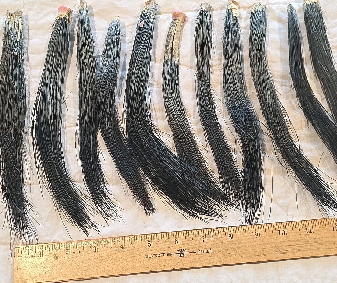 11 Giant Fat Wild Turkey Beards Taxidermy Bird Crafts 9-12" #1