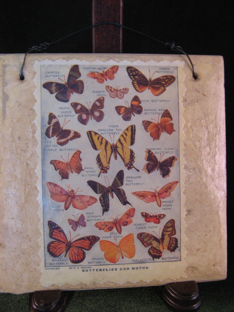 Butterfly & Moth Postcard on Tile Wall Art 5 7/8" square - EUC