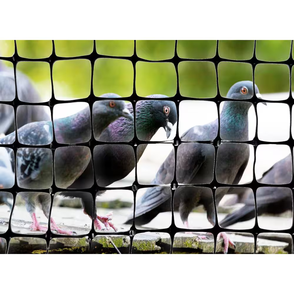 100 Ft. X 14 Ft. Structural Bird Netting
