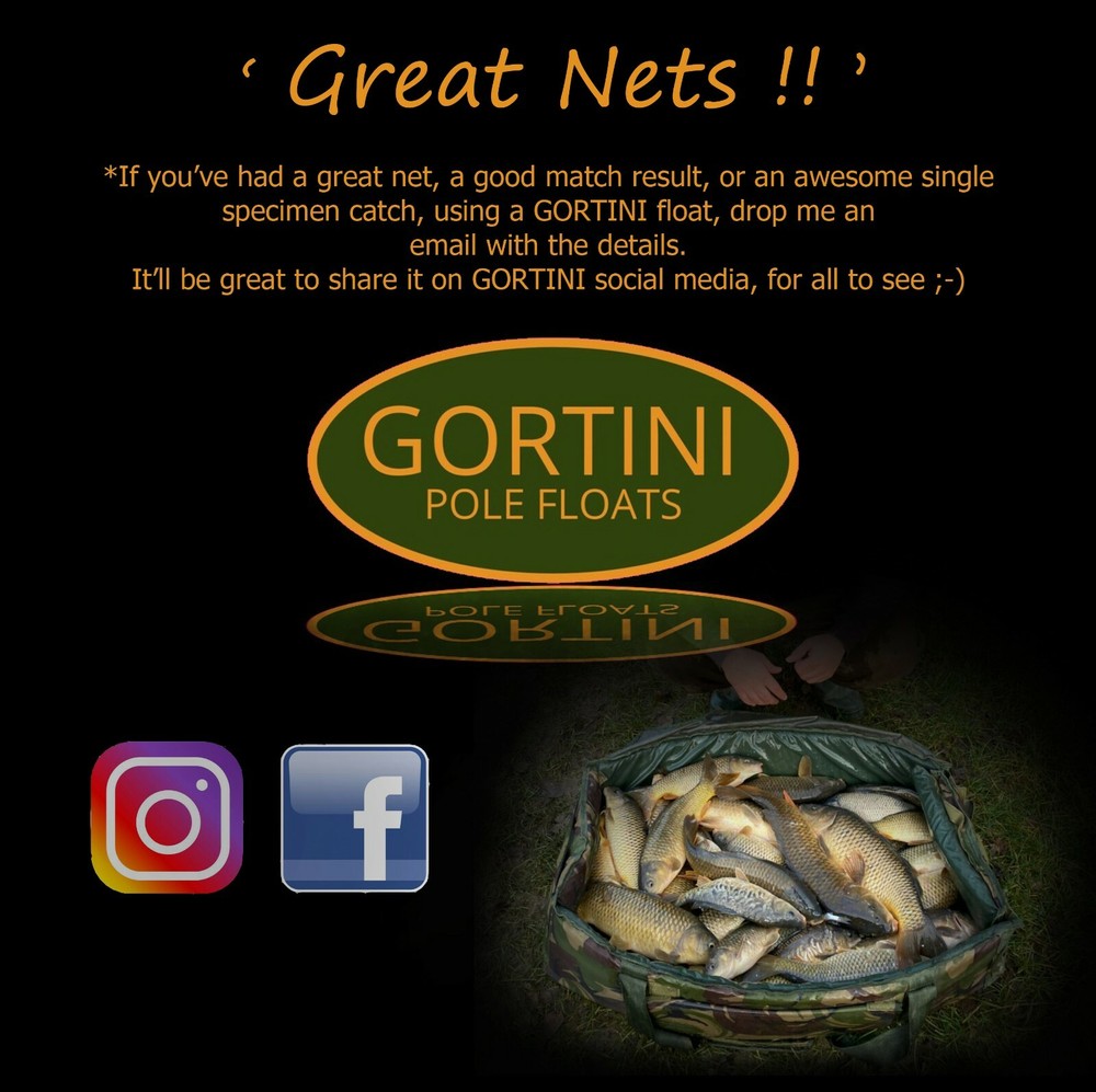 3 no. Handmade GORTINI No. 1 (0.08g) Carbon Chianti 'Solid core tip' pole float