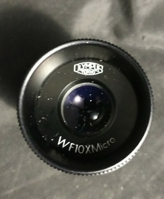 MICROSCOPE PART OLYMPUS WF10XMicro EYEPIECE OCULAR OPTICS Base and Screws