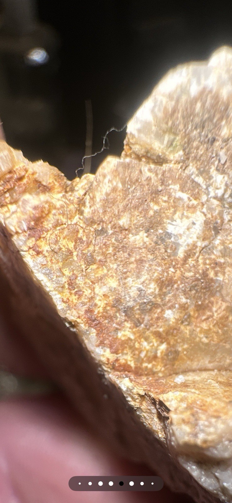 PayStreak™ Gold Ore —🔥 5 lbs 🔥Vein Quartz w/ REAL Visible Gold!