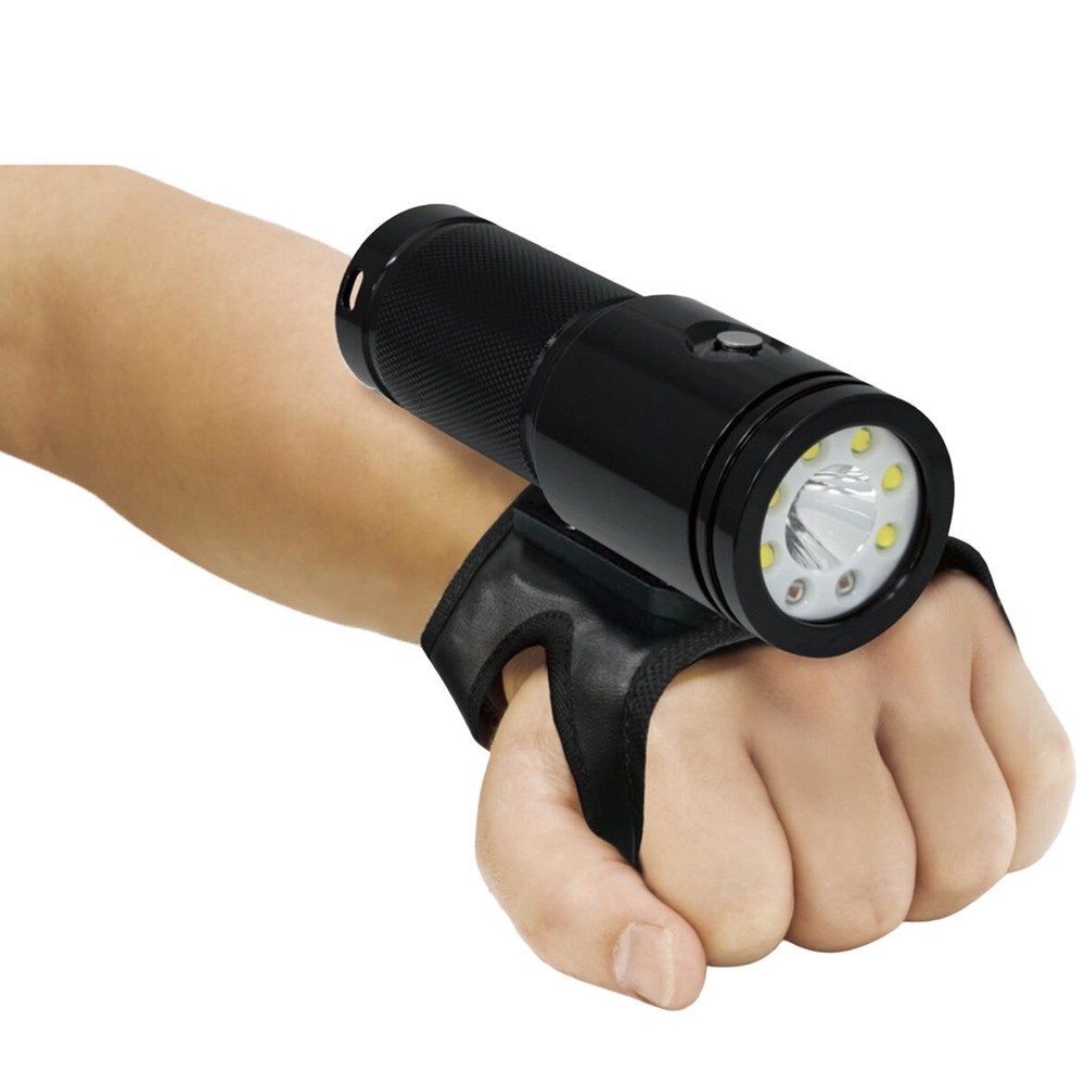 Bigblue 2900 Lumen Dual Beam Light