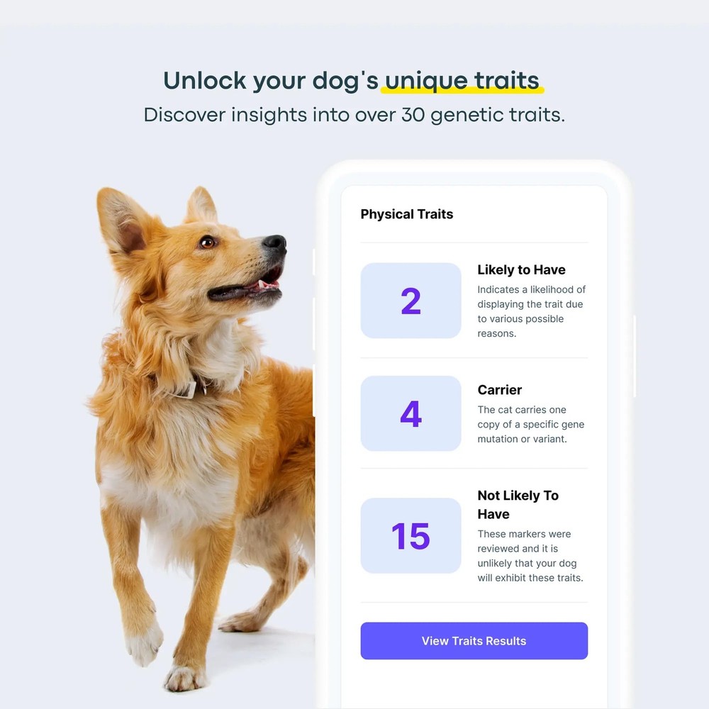 Dog DNA Testing Kit - 330+ Breeds, 280+ Risks, and 30+ Traits - Comprehensive...