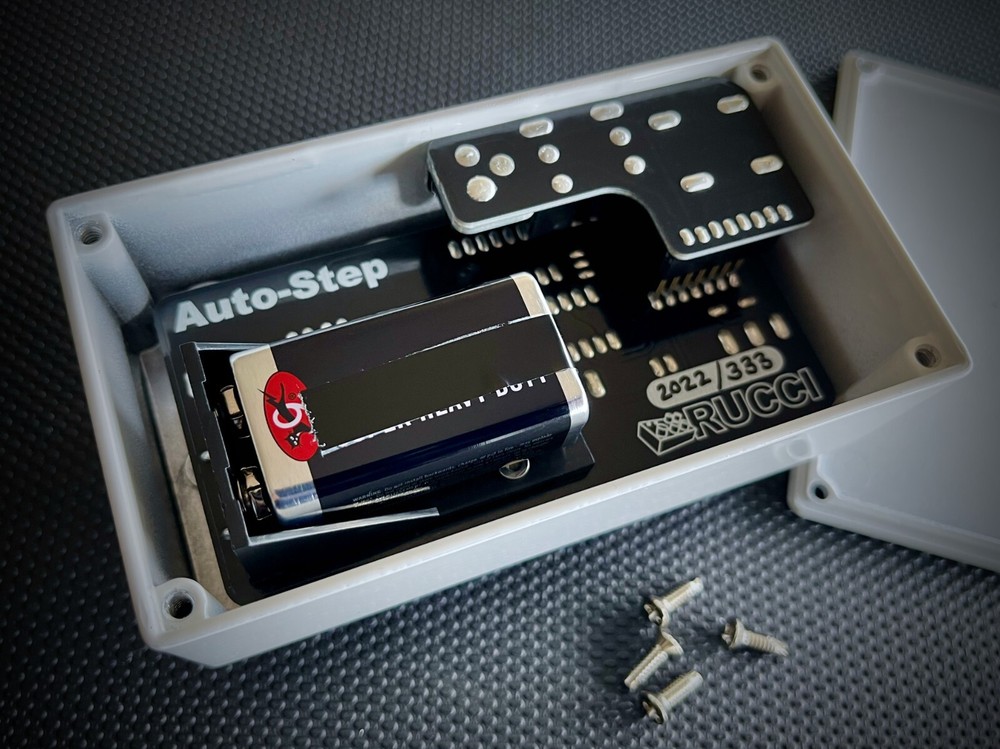 Auto-Step Synthesizer (Handmade, Rucci Electronics)