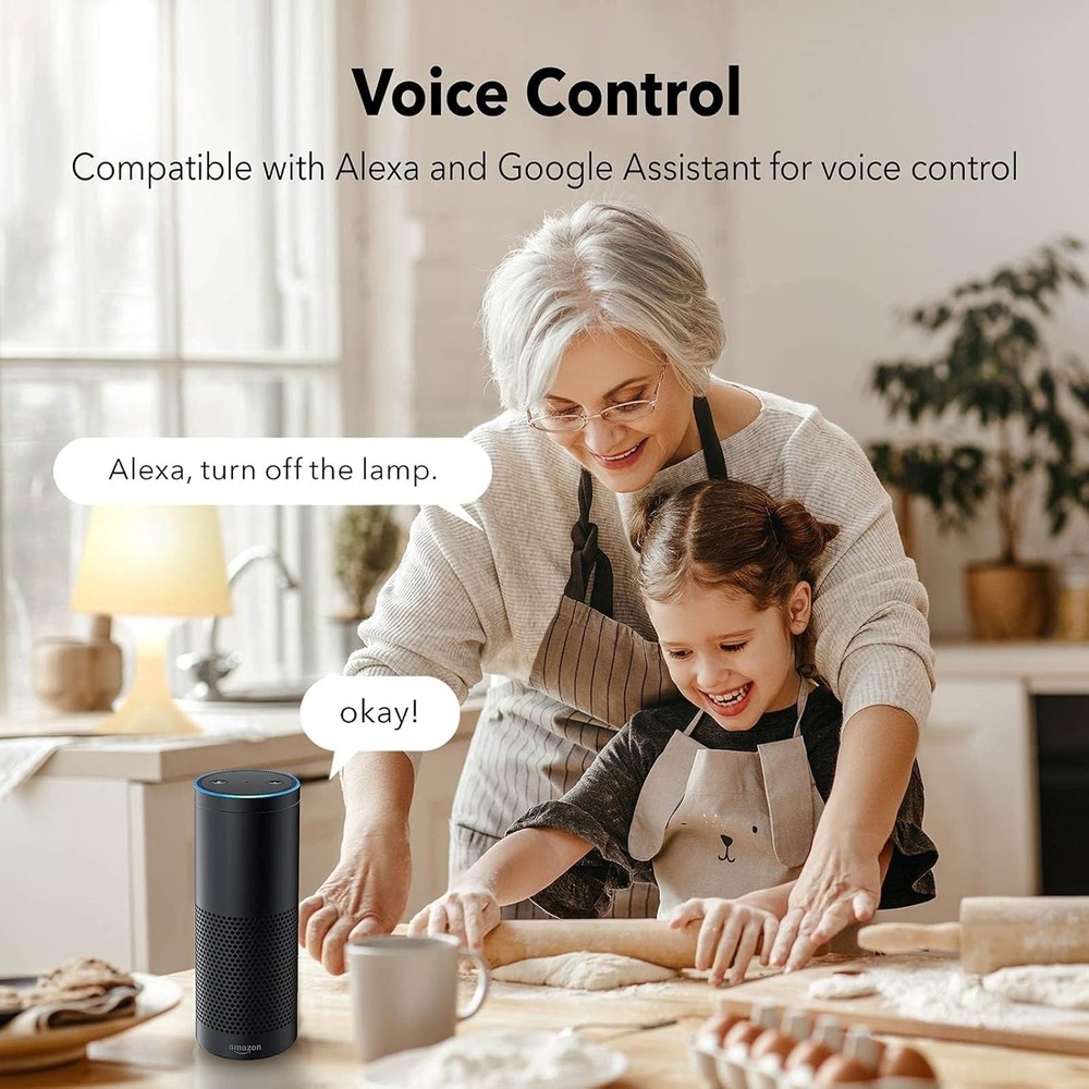 2 Pack Smart Electrical Outlet with Voice Control and Type-C Charging