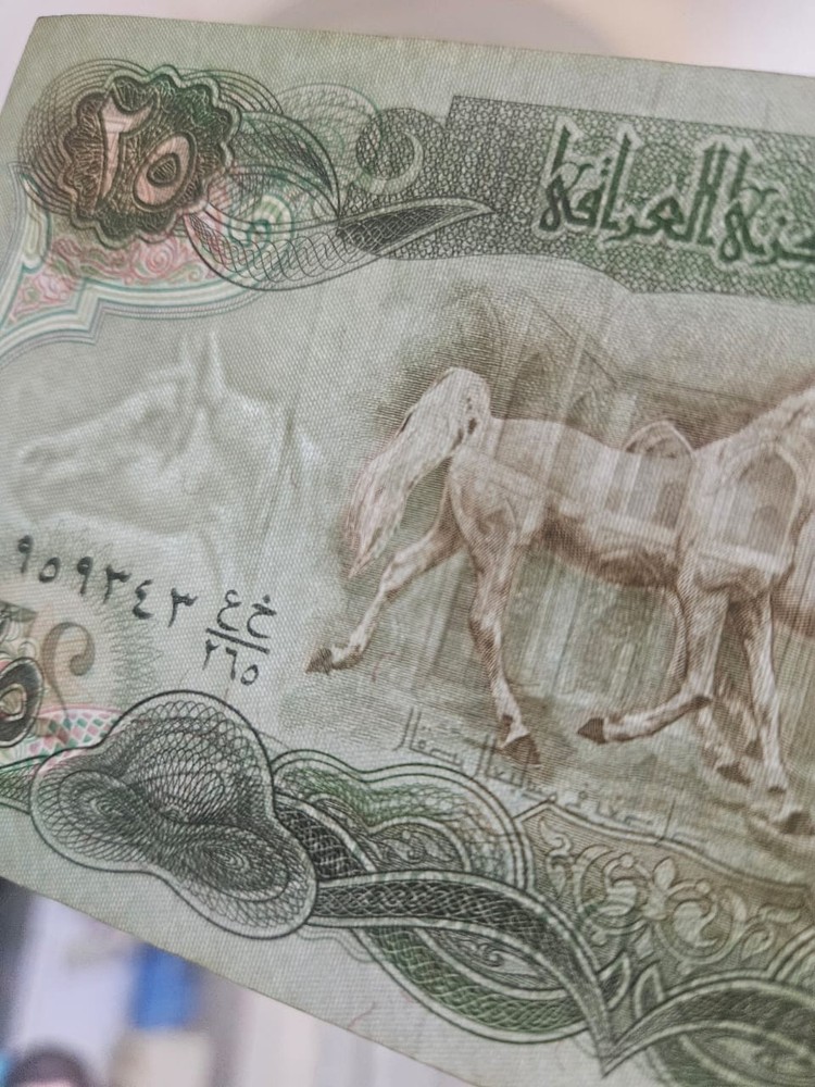 Iraqi Dinar 25 EF Note 1982 Collectable (6 Piece )