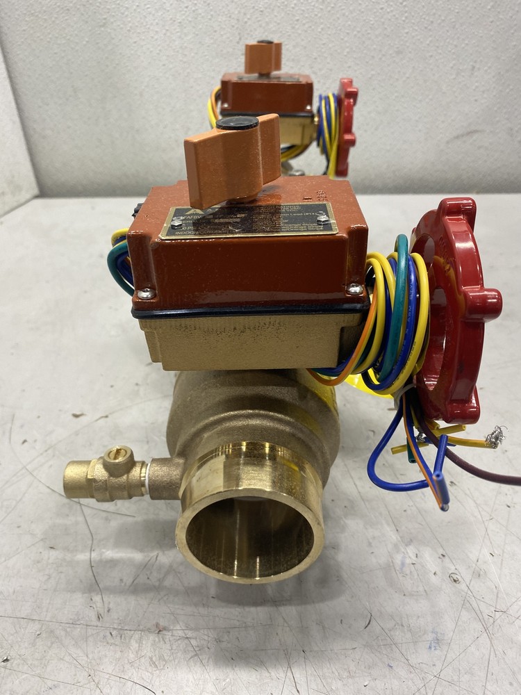 Ames 2" Double Check Valve Assembly 2-2000BM1-FP-GV