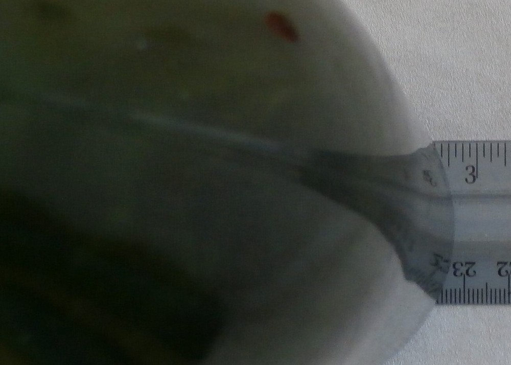 ww2 German elite beer bottle